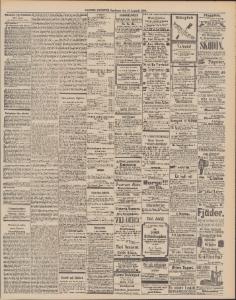 Sida 3 Dagens Nyheter 1890-08-13