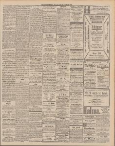 Sida 3 Dagens Nyheter 1890-11-25